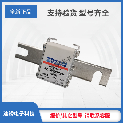 罗兰熔断器T300121/ PC30UD69V125D1A V300122/PC30UD69V160D1A