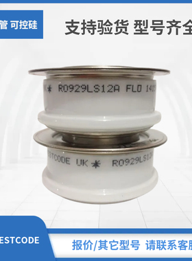 G2000VC250 WG20025SN G2000VC450 WG20045SN西玛WESTCODE模块