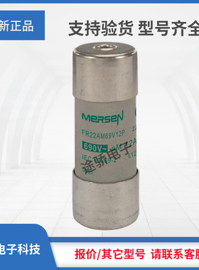 议价美尔森熔断器R201311/FR22AM69V12P W211044/FR22AM69V16P