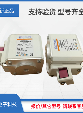 议价 罗兰熔断器J302665/D70GB60V100ESF T302076/D70GB60V100TF