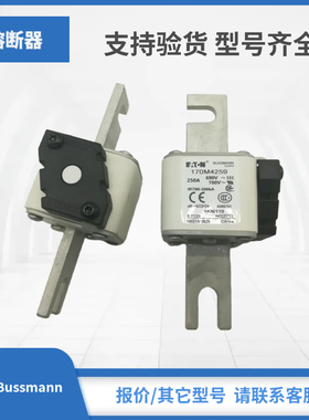 170M4258 170M4259 170M4260 170M4261巴斯曼Bussmann熔断器现货