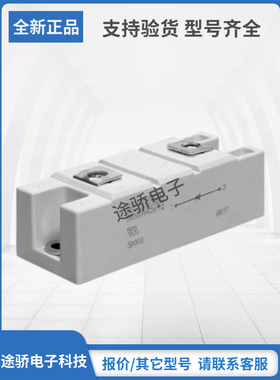 SKKE290F06西门康SEMIKRON赛米控二极管模块现货其他型号请询客服