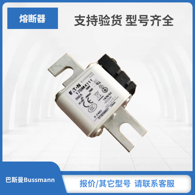 现货巴斯曼Bussmann熔断器170M4115 170M4116 170M4117 170M4118