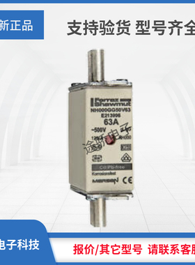 议价美尔森T212974/NH000GG50V50 E213996/NH000GG50V63熔断器