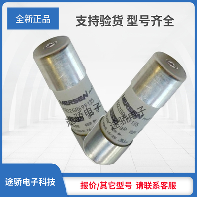 罗兰议价G1018561/FR22GR69V125 H1018562/FR22GR69V135熔断器
