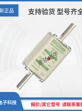 议价罗兰熔断器G227890/NH1AM69V40 H227891/NH1AM69V50大量现货