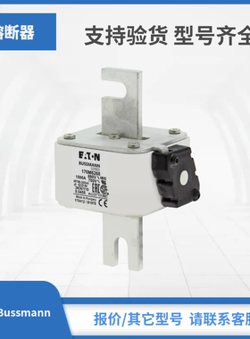 Bussmann熔断器保险丝现货170M5266 170M5267 170M5268 170M6258