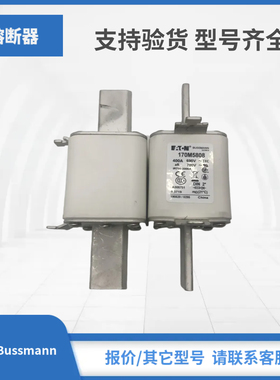 170M5806 170M5807 170M5808 170M5809巴斯曼Bussmann熔断器现货