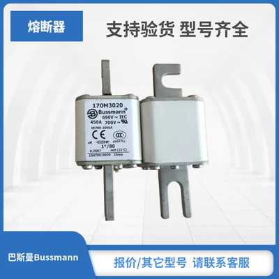 170M3021 170M3022 170M3023 170M4008巴斯曼Bussmann熔断器现货