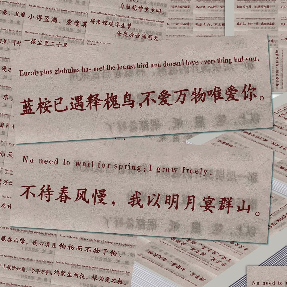 66贴中式诗词美学治愈文案贴纸