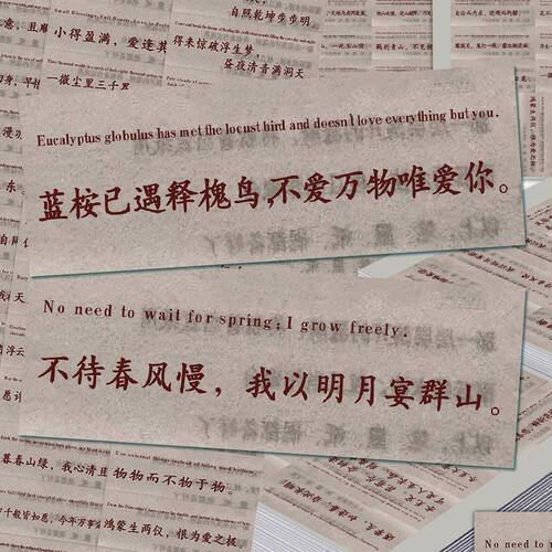 66贴中式诗词美学治愈文案贴纸