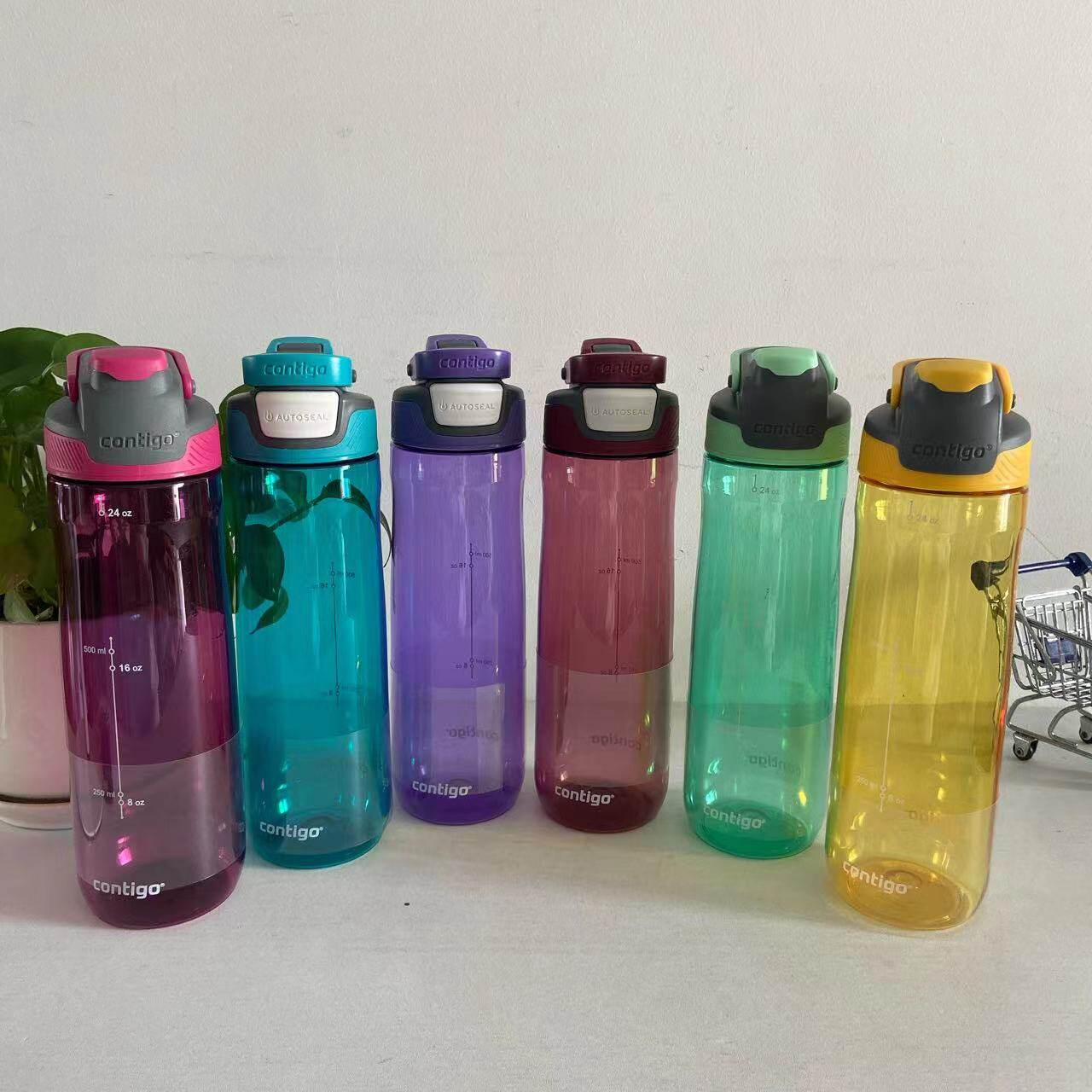 现货美国contigo康迪克成人防漏水壶凉水杯饮水杯运动水壶710ml