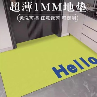 超薄1mm地垫入户门垫家用玄关免洗可裁剪地毯现代简约不卡门门垫