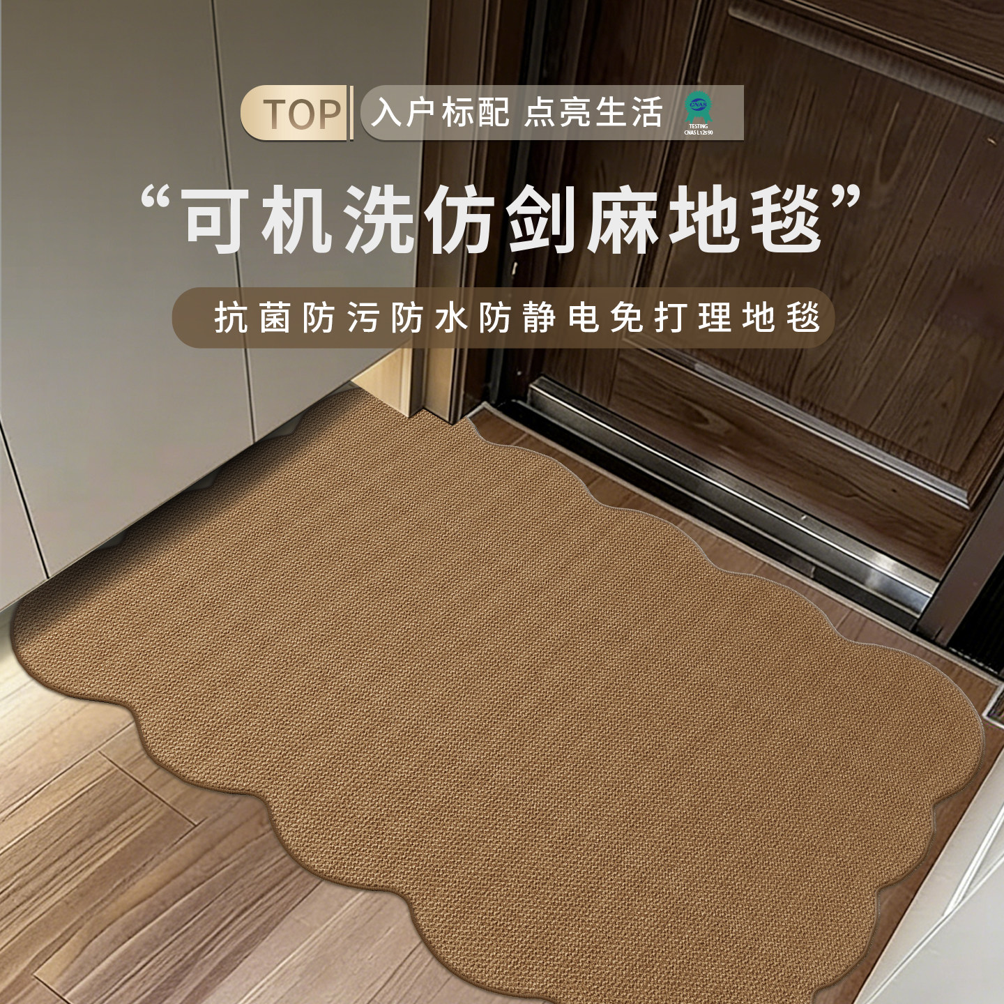 不规则异形地毯入户门垫可机洗防滑脚垫进门蹭土除尘地垫防水防污