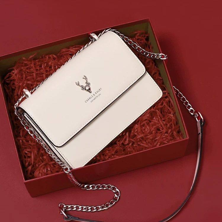 包包真皮女士包包质感2025新款小众时尚链条单肩女包斜挎包小包