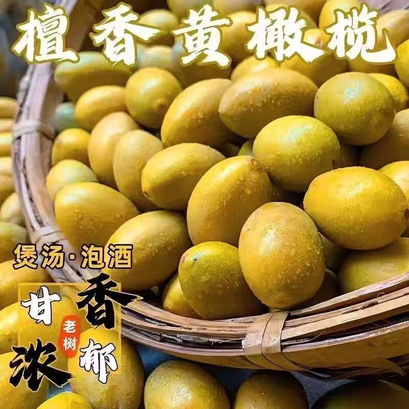 新鲜黄橄榄檀香甘香潮汕金黄煮汤泡酒孕妇水果天然生青果