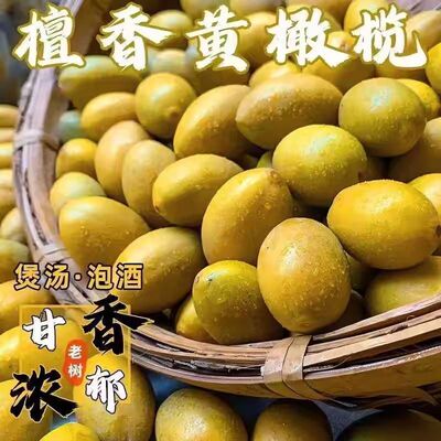 新鲜黄橄榄檀香甘香潮汕金黄煮汤泡酒孕妇水果天然生青果