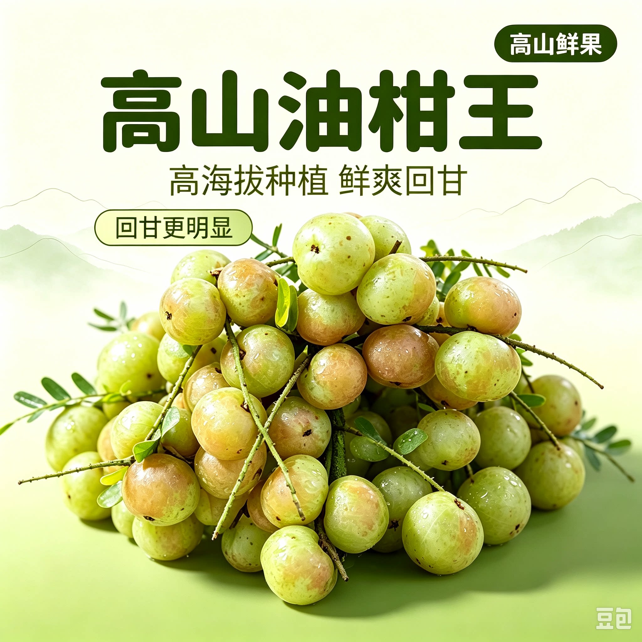 潮汕油柑果新鲜崩坎油甘果余甘子橄榄