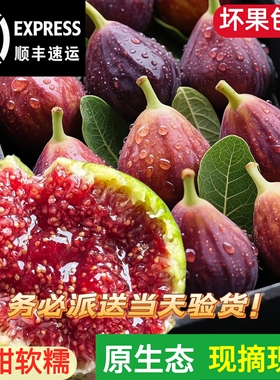 云南波姬红无花果顺丰包现摘无花果鲜果农家现摘现发新鲜水果当季