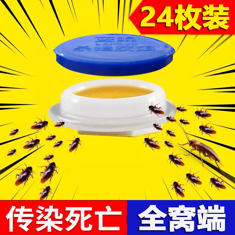 杀蟑螂药贴片一窝全窝端灭小强厨房贴家用强力除脏螂神器德国小蠊