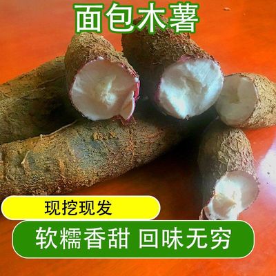 广西现挖新鲜蛋黄粉白肉面包木薯粉香糖水农家粗粮面包木薯现挖