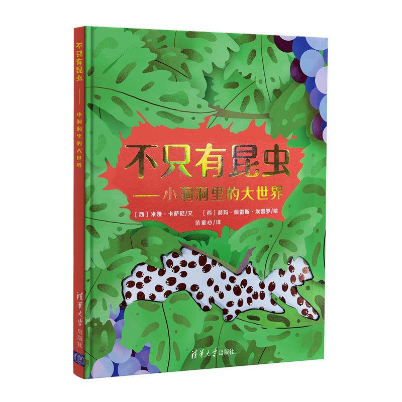 正版图书包邮不只有昆虫&mdash;&mdash;小洞洞里的大世界（激光精美镂空，爱虫虫的你不容错过）