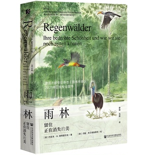 正版图书包邮雨林：留住正在消失的美（精装）[德]约瑟夫·H.赖希霍尔夫，[德]约翰·布兰德施泰特绘9787522808680