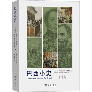 正版图书包邮巴西小史(巴西)玛丽·德尔·普里奥里,(巴西)雷纳托·韦南西奥9787100218146商务印书馆
