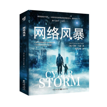 正版图书包邮 加拿大现代长篇小说：网络风暴[加拿大]马修·马瑟著,邵杜罔 译9787229158903