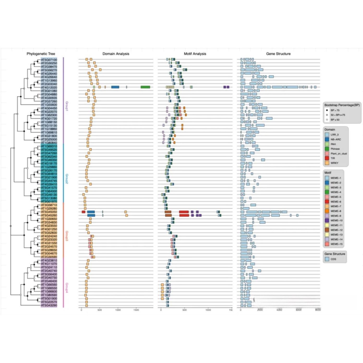 生信分析SCI全流程服务 单细胞多组学 纯生信 医学数据挖掘