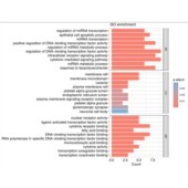 WGCNA GSEA KEGG差异基因通路富集网络药理PPI TCGA 生信分析GEO