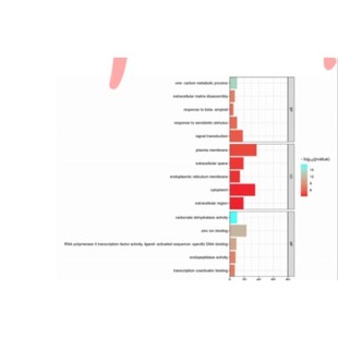 生信分析服务单细胞测序转录组r语言生物信息TCGA GEO数据库挖掘