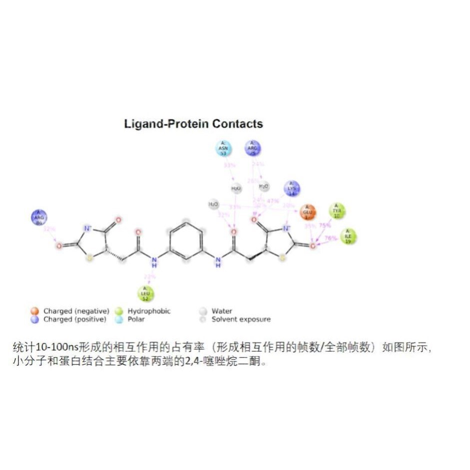 分子动力学模拟/分子动力学计算/分子动力学服务(蛋白-蛋白/蛋白