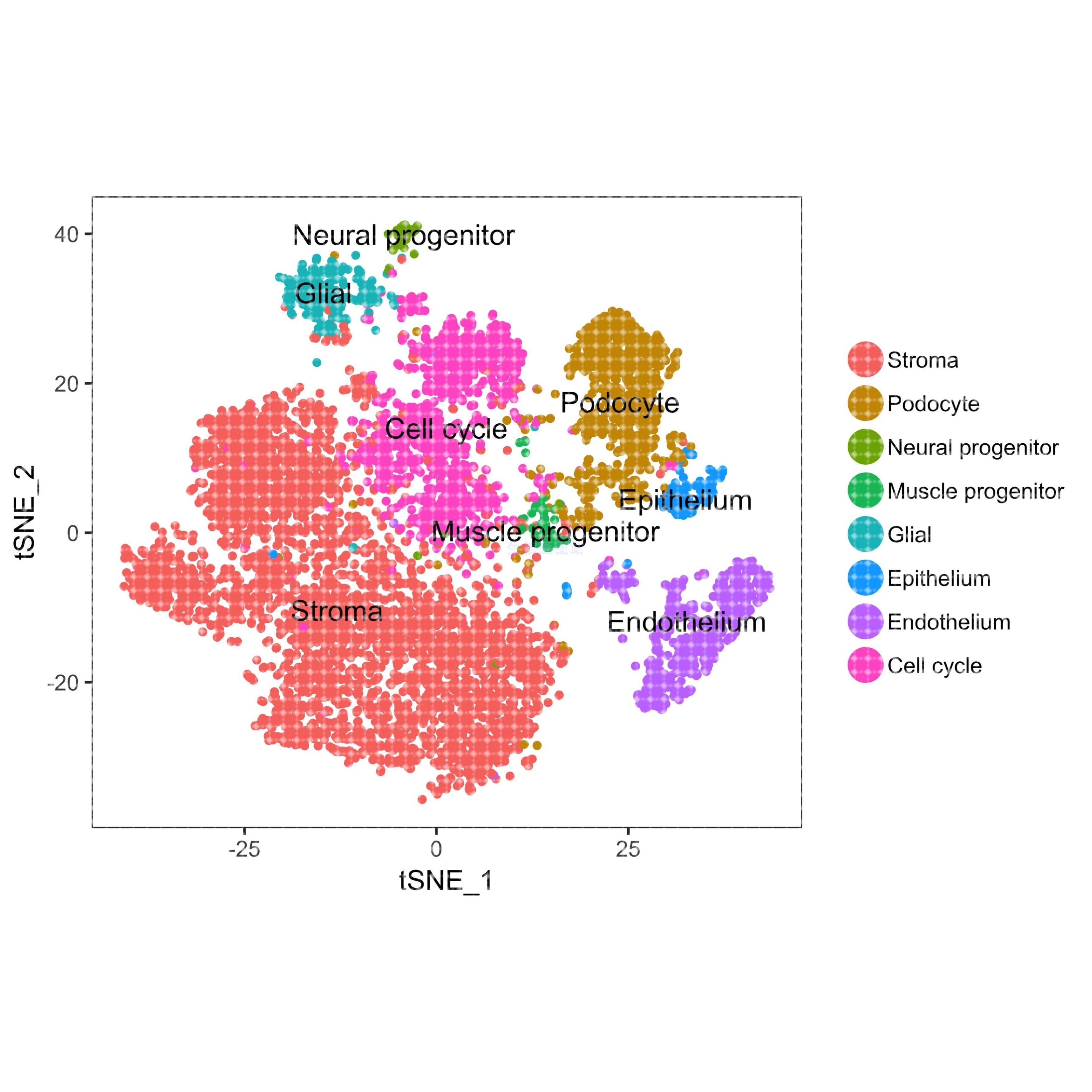 10x单细胞测序数据基础分析cellranger 空间转录组atac流程代跑