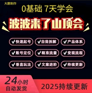 2024新6月波波来了山顶会流量转化全套IP变现课SOP表私域运营实战