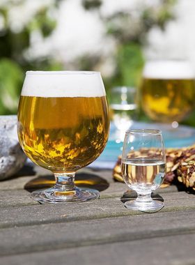 丹麦 Holmegaard 高脚杯啤酒杯玻璃杯Det danske红酒杯子矮脚杯