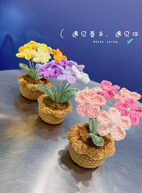 定制办公室过年圣诞节日小盆栽