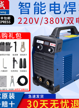 东成电焊机220V家用380V工业级双电压全铜250/315小型便携式焊机