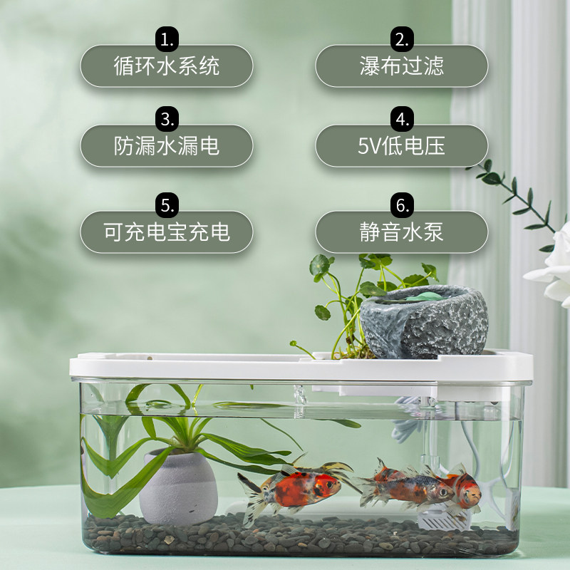 青鳉鱼缸桌面景观背古法养鱼生态过滤小乌龟金鱼锦鲤发色饲养黑盆