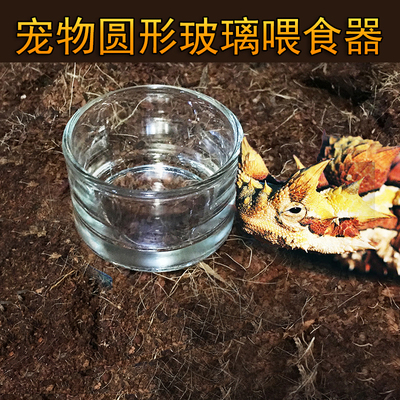 爬虫饮水器美食槽圆形食盆乌龟守宫蜘蛛角蛙蛇类喂食器食盆玻璃杯