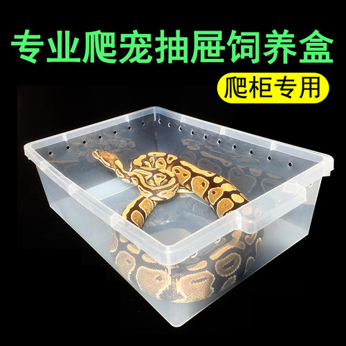 经典A4抽屉盒爬宠饲养盒PVC爬柜层架柜A宠物豹纹守宫玩具蛇抽拉盒