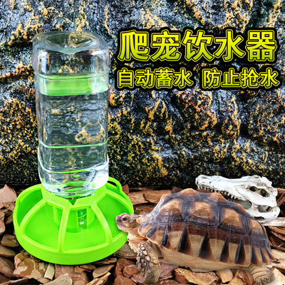 乌龟水盆食盆自动饮水器喝水盘角蛙蜥蜴蛇苏卡达乌龟爬宠爬虫喂水