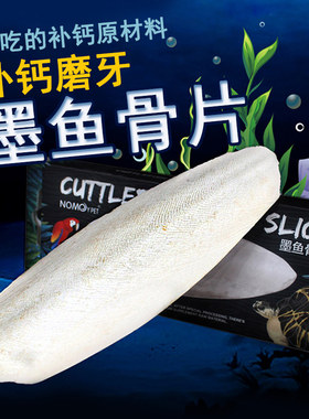 爬宠补钙墨鱼骨片 爬虫乌龟水龟陆龟鹦鹉磨牙D3钙营养补钙品饲料