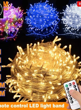 Christmas tree New Year decoration LED Fairy Lights String