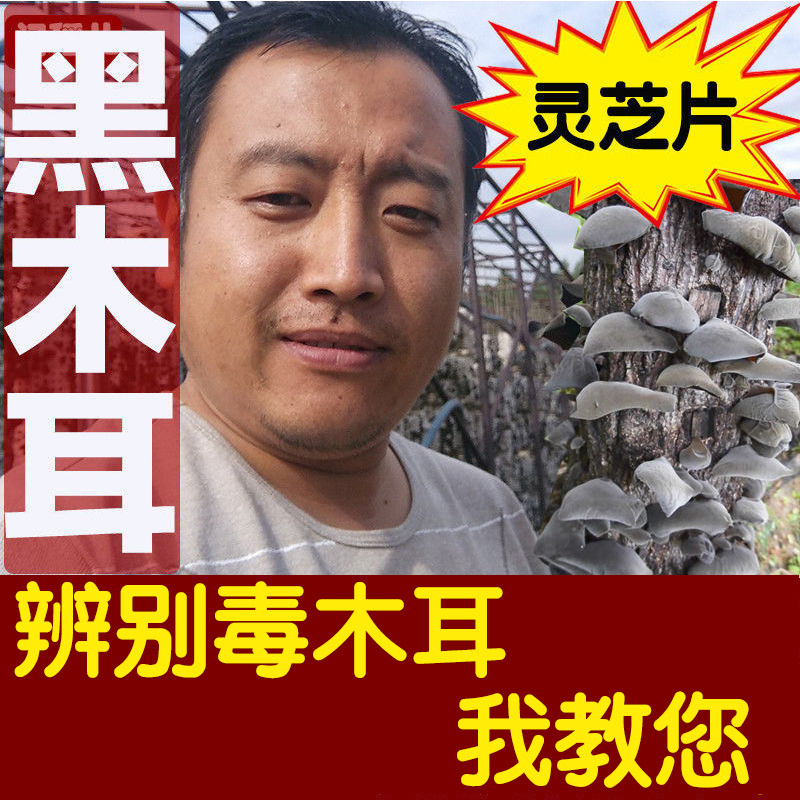 2025年东北特产木耳干货椴木非野生秋耳长白山黑木耳云耳500g