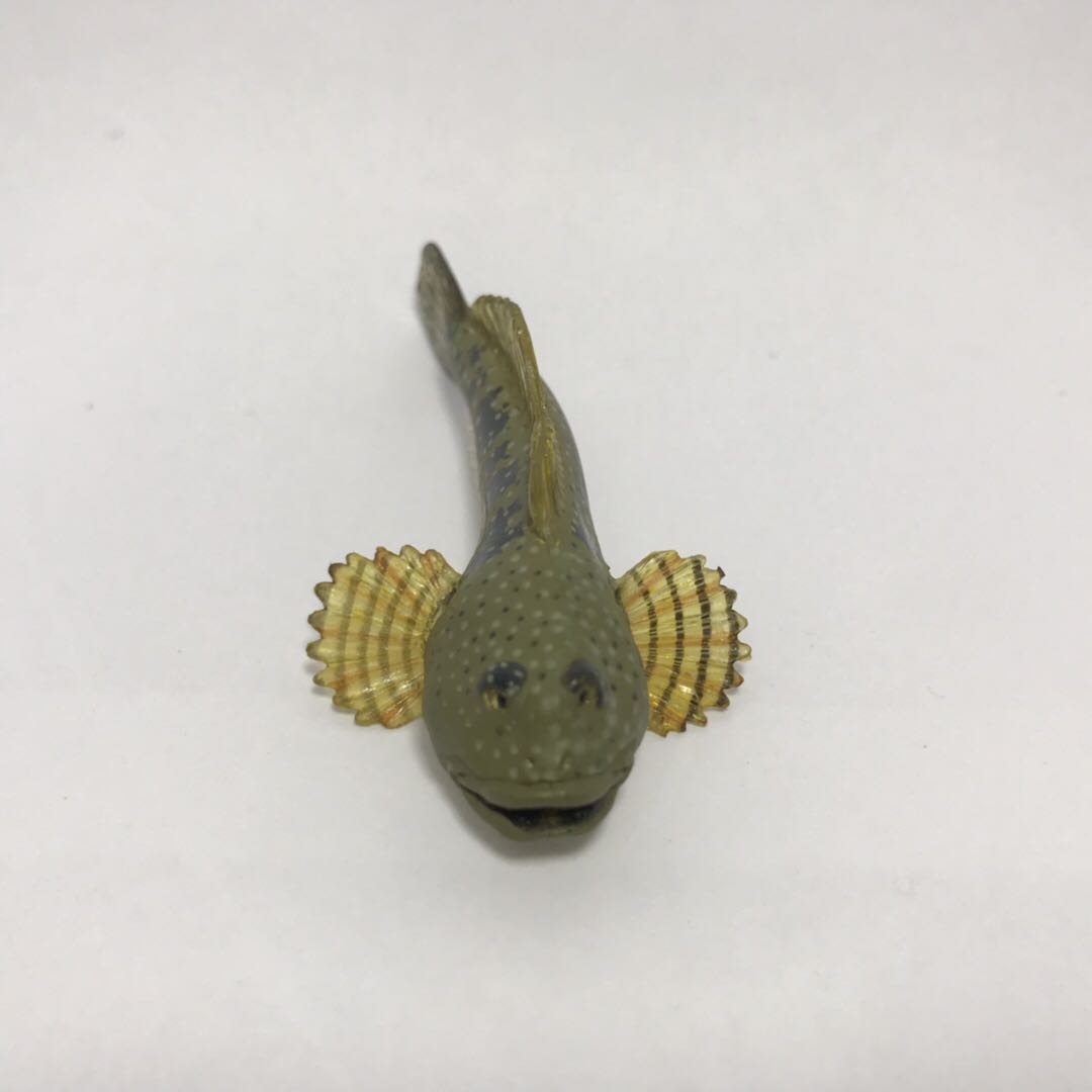 COLORATA 나비 협회 일본 민물고기 모형 장난감 NO. 1 무딘 머리 스컬핀 길이 약 7.5CM