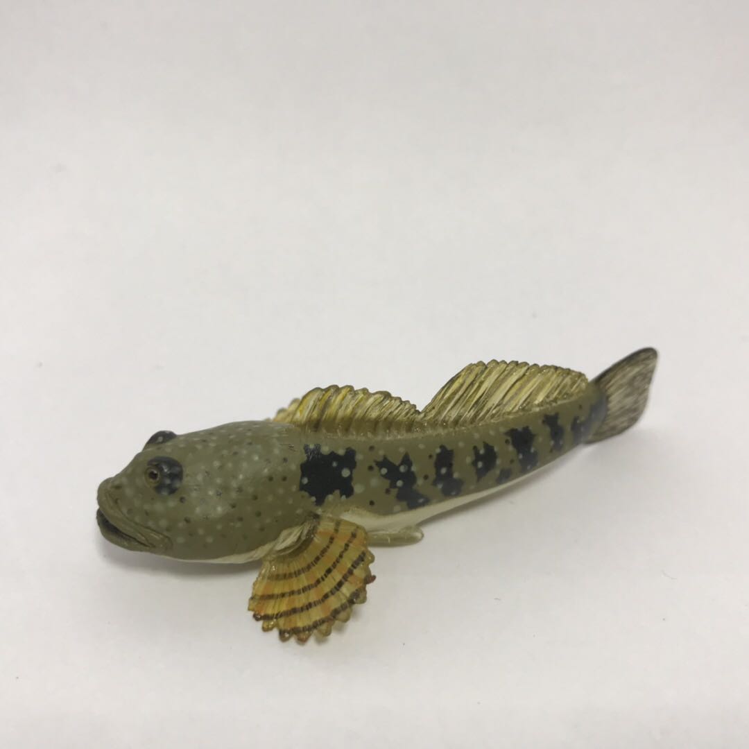 COLORATA 나비 협회 일본 민물고기 모형 장난감 NO. 1 무딘 머리 스컬핀 길이 약 7.5CM