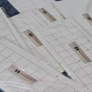 徽牌洒金箔小日课宣纸檀皮六分熟50张装书法练习格子纸楷行隶书法