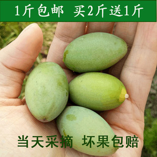 1斤四川合江青果新鲜橄榄现摘现发猪肚煲汤泡茶包邮