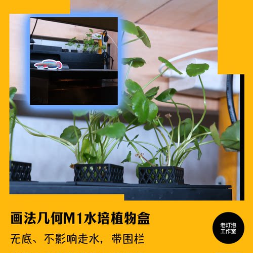 老灯泡工作室画法几何M1 ultra水培植物盒 配件